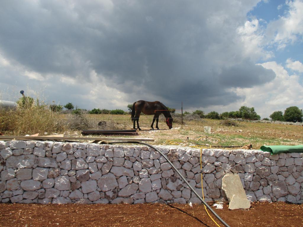 Le Mangiatoie Del Re Giordano Villa Avola Exterior foto